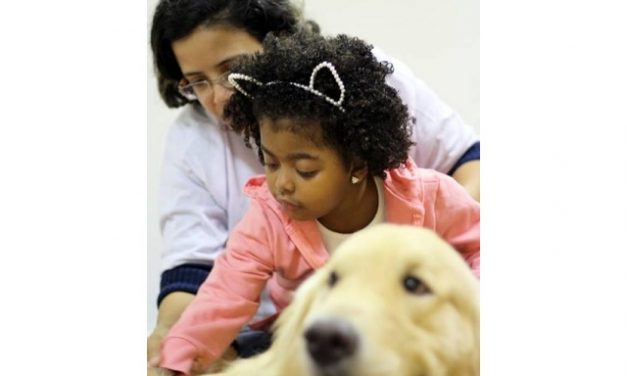 ‘Cãoterapia’ ajuda crianças a responderem melhor ao tratamento hospitalar na Tijuca