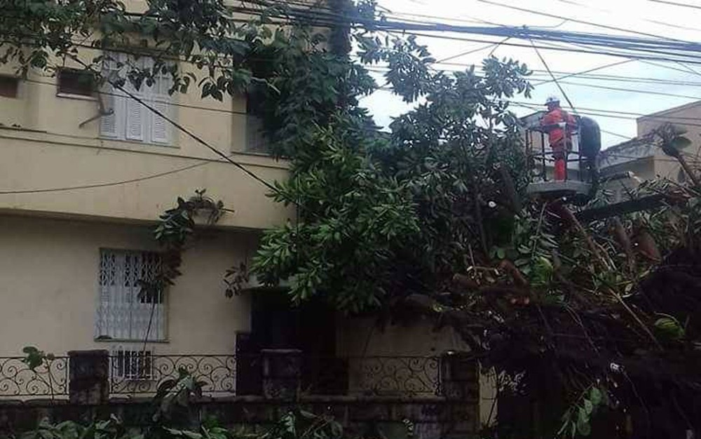 Árvore de grande porte cai sobre calçada e bloqueia acesso a prédio na Tijuca