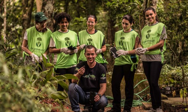 Parque Nacional da Tijuca divulga programação do voluntariado em janeiro