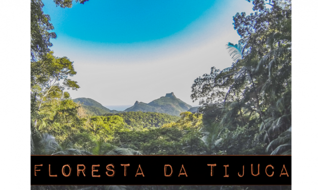 Em comemoração ao calendário do Meio Ambiente, projeto levará atividades gratuitas para Floresta da Tijuca