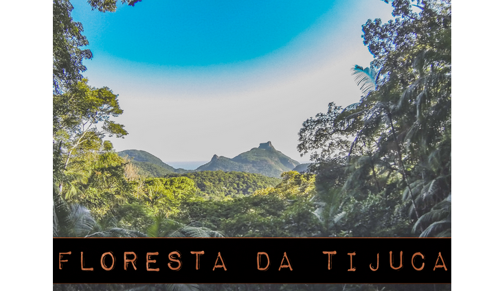Em comemoração ao calendário do Meio Ambiente, projeto levará atividades gratuitas para Floresta da Tijuca