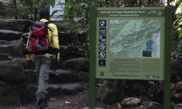 Mais de 80 novas placas foram instaladas este ano na Floresta da Tijuca
