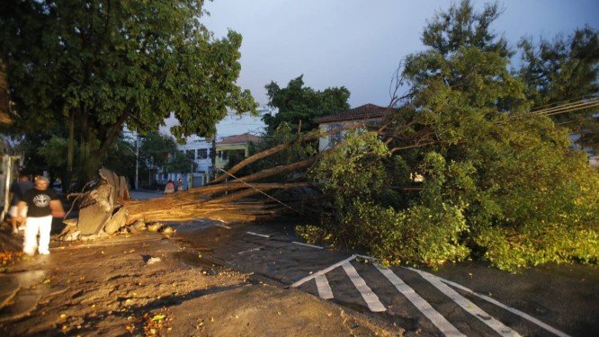 Chuva derruba árvore de 10 metros na rua Zenóbio da Costa, em Vila Isabel